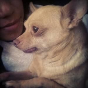 Meet your Posher, Edith